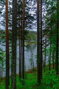 Punkaharju山脊一带湖泊和森林的景观树木天空旅游假期下雨旅行绿色风景图片