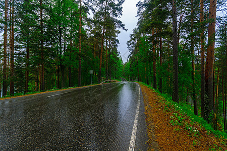 Punkaharju山脊的公路和森林树木假期旅游风景下雨绿色旅行天空图片