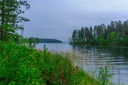 Punkaharju山脊一带湖泊和森林的景观树木假期旅行绿色风景下雨旅游天空图片