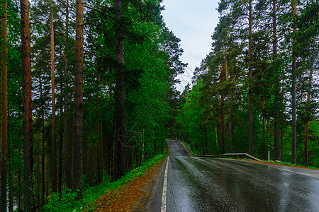 Punkaharju山脊的公路和森林树木下雨风景旅行假期绿色旅游天空图片