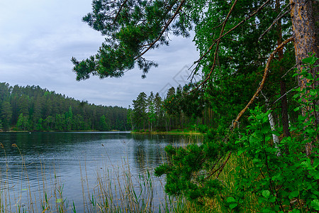 Punkaharju山脊一带湖泊和森林的景观旅游绿色下雨天空旅行假期风景树木图片