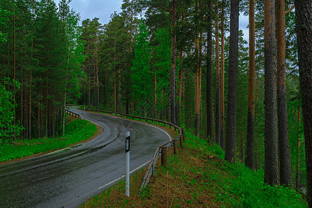 Punkaharju山脊的公路和森林天空假期树木绿色风景旅游旅行下雨图片