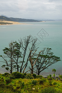 Kauri的景观晴天海湾沿海旅游旅行海岸线支撑半岛风景海洋图片