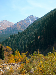 秋天的山国家假期木头植物群风景环境公园高地生态季节图片