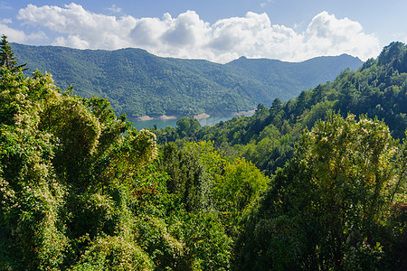 普鲁内利峡谷爬坡岩石蓝色绿色风景图片