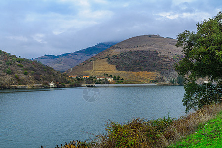 乡村和杜罗河及山谷房子藤蔓植物种植园场地旅行薄雾旅游爬坡道农村图片