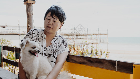 旅行时在海滩和海上的亚洲妇女和狗忠诚天空女孩犬类朋友女性贵宾女士娱乐哺乳动物图片