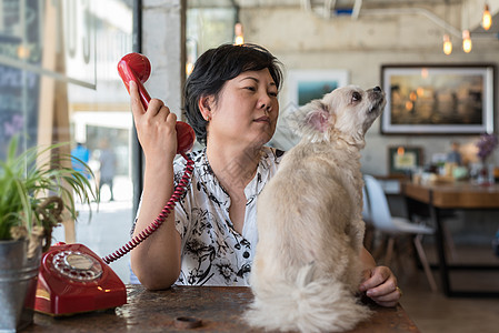 咖啡店咖啡厅里带电话的亚洲妇女和狗友谊美丽闲暇幸福微笑玻璃餐厅训练宠物女性图片