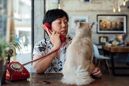 咖啡店咖啡厅里带电话的亚洲妇女和狗闲暇小狗宠物友谊玻璃哺乳动物贵宾餐厅朋友桌子图片