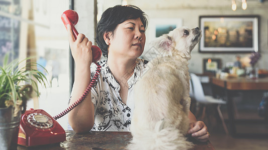 咖啡店咖啡厅里带电话的亚洲妇女和狗哺乳动物犬类闲暇女孩友谊贵宾椅子咖啡朋友幸福图片
