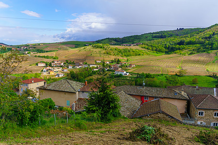 在Beaujolais与Vauxe村的葡萄园和农村场景风景教会旅游藤蔓农场场地国家爬坡旅行图片