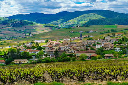 在Beaujolais与Lantig村的葡萄园和农村村庄场景农场风景爬坡旅行教会国家旅游场地图片