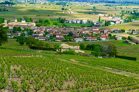 在Beaujolais与SaintSah村的庄园和农村爬坡藤蔓旅行村庄场地葡萄园风景场景教会农场图片