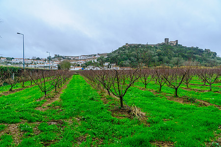 强化城镇和附近田地 Obidos城市游客城堡建筑景观历史性村庄地标石头旅游图片