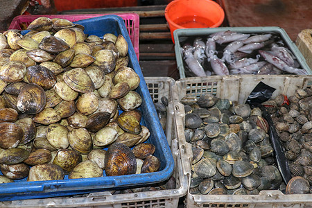 麻辣海鲜在印度尼西亚巴厘岛金巴兰的旅游景点当地市场上出售新鲜的海鲜鱼 美味的贝壳 在当地市场出售新鲜的血蛤销售扇贝壳类蛤蜊海洋贝类营养餐背景