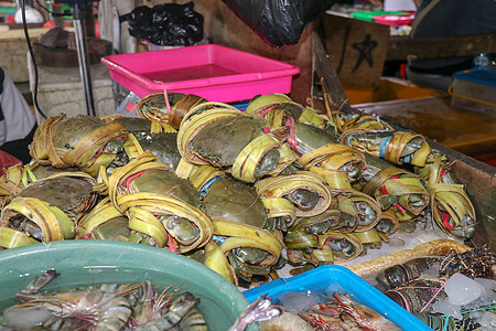 金巴兰海鲜柜台上出售的新鲜螃蟹图案 巴厘岛海滩 当地鱼市上的新鲜螃蟹 束在塑料载体的新鲜的螃蟹待售营养店铺钓鱼街道美食甲壳海洋食图片