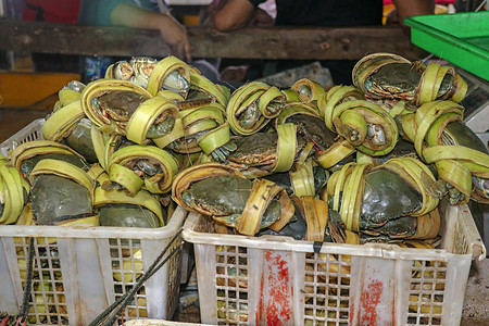 金巴兰海鲜柜台上出售的新鲜螃蟹图案 巴厘岛海滩 当地鱼市上的新鲜螃蟹 束在塑料载体的新鲜的螃蟹待售美食餐厅街道海洋营养龙虾饮食钓图片