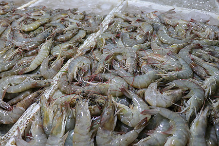 金巴兰海鲜柜台上出售的鲜虾图案 巴厘岛海滩 当地鱼市上的鲜虾 一堆冰上的鲜虾待售乌贼养殖钓鱼店铺市场水产螃蟹食物章鱼美食图片
