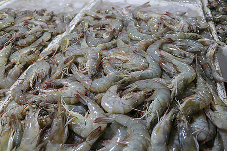 金巴兰海鲜柜台上出售的鲜虾图案 巴厘岛海滩 当地鱼市上的鲜虾 一堆冰上的鲜虾待售营养动物店铺烹饪螃蟹养殖鱼片乌贼贝类食物图片