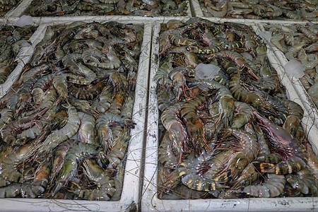 金巴兰海鲜柜台上出售的鲜虾图案 巴厘岛海滩 当地鱼市上的鲜虾 一堆冰上的鲜虾待售美食乌贼烹饪店铺食物钓鱼动物章鱼镀金头海洋图片