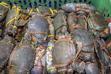 金巴兰海鲜柜台上出售的新鲜螃蟹图案 巴厘岛海滩 当地鱼市上的新鲜螃蟹 束在塑料载体的新鲜的螃蟹待售甲壳市场贝类海洋街道销售营养龙图片