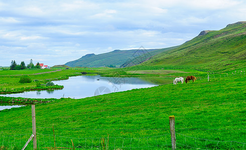 冰岛东北部的乡村地貌和景观绿色草地场地旅行土地旅游农村天空国家农场图片