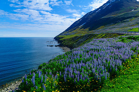 沿Eyjafjordur一带的景观和农村天空海岸线蓝色荒野农场海岸海洋旅游风景峡湾图片