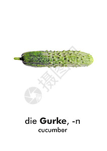 德语字词卡 Gurke (cucumber)图片