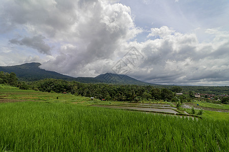 贾蒂卢维赫和巴图卡鲁巴厘山的景观稻田天空旅行村庄场地阳台文化天线农民爬坡图片