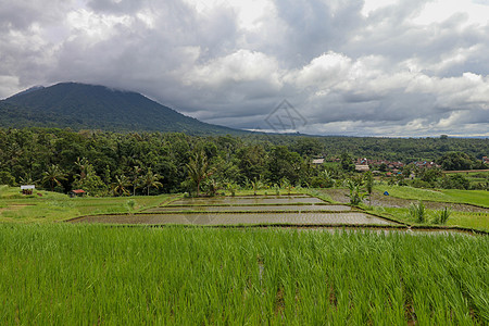 贾蒂卢维赫和巴图卡鲁巴厘山的景观场地粮食旅行天空旅游植物风景农业村庄文化图片