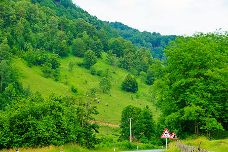 Mojkovac附近的乡村地貌草地旅行天空村庄风景绿色场景高地农村地标图片
