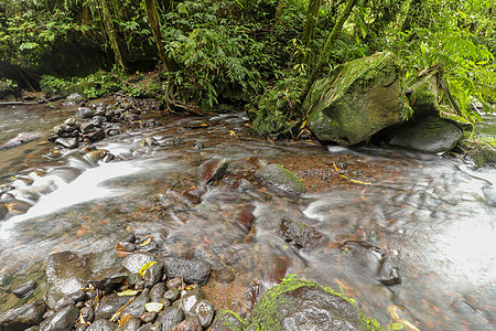 山区石块之间的小山地河流 千里万里季节瀑布太阳叶子旅游丛林苔藓假期环境公园图片