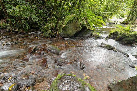 山区石块之间的小山地河流 千里万里岩石热带流动瀑布雨林森林叶子太阳丛林假期图片