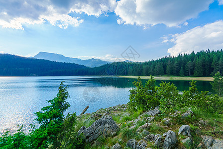 黑湖 杜米托森林天空旅行黑色绿色公园旅游假期风景场景图片