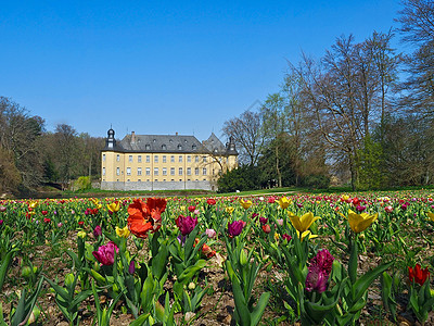 春春朱埃钦的施洛斯德克城堡旅游旅行历史性花朵天空郁金香反射观光单板历史图片