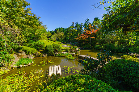 京都Taizoin寺的Yokoen园子花园遗产花园池塘退藏文化旅行公园历史性妙心旅游背景图片