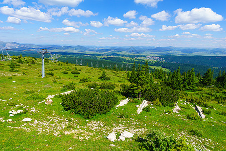 Durmitor 景观和滑雪美丽绿色假期公园国家旅行森林黑色风景旅游图片