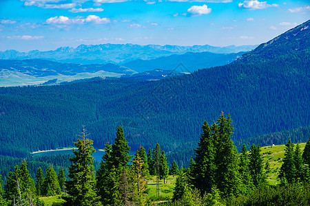 Durmitor 景观风景旅游岩石旅行国家绿色黑色农村假期草地图片