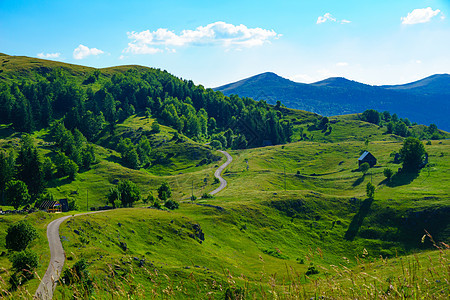 Durmitor和乡村公路蓝色旅游公园旅行风景岩石绿色农村森林天空图片