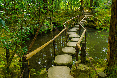 京都Tenjuan寺庙日本花园石头岩石风景文化寺庙人行道池塘历史性叶子花园图片