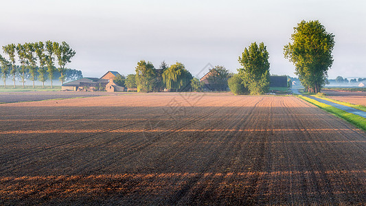 荒凉的晨光下的农场风景旅行土地农村日落食物场景季节农业草地农田图片