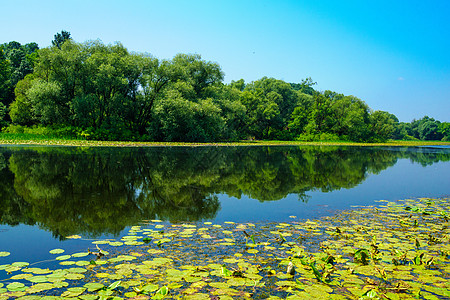 克罗地亚萨瓦河国家天空绿色村庄森林乡村银行反射蓝色农村图片