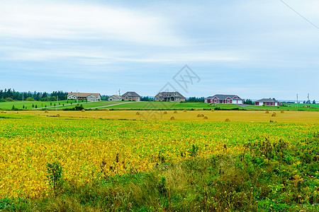 爱德华王子岛印度河附近农村和干草堆图片