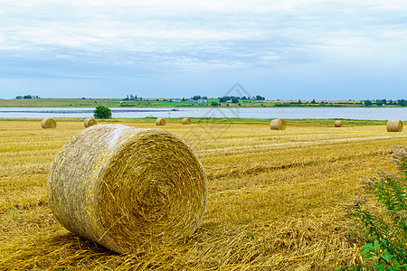 爱德华王子岛大河附近乡边和干草堆粮食乡村旅行国家场地土地干草收成农场农业图片