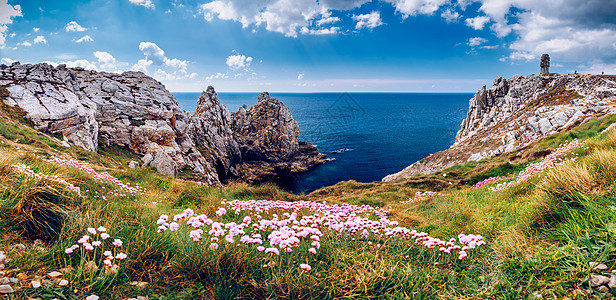 世界大战的和侵蚀风景野花海岸支撑预设纪念碑冲浪天气半岛图片