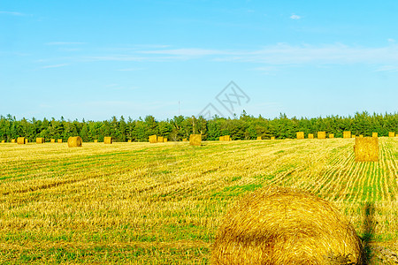 波登卡利顿附近的乡村和干草堆农业农场收成国家农村场地风景生长农田粮食图片