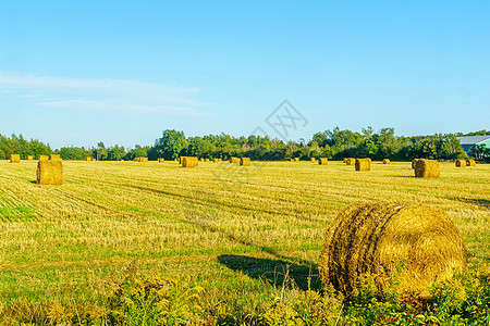 波登卡利顿附近的乡村和干草堆粮食旅行农业收成国家农场风景草地生长农田图片