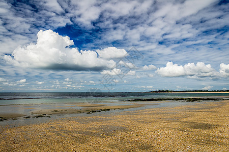 Landrezac海滩 Sarzeau Morbihan Britanny布列塔涅 Fran支撑苔藓石头环境地平线天空沙丘晴天栅图片