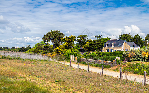 Landrezac海滩 Sarzeau Morbihan Britanny布列塔涅 Fran海洋苔藓石头太阳沙丘远足支撑海岸环境图片