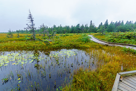 Breton角高地国家公园的路线远足旅游高地公园旅行踪迹人行道湿地新星图片